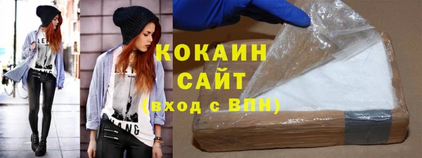 шишки Новодвинск