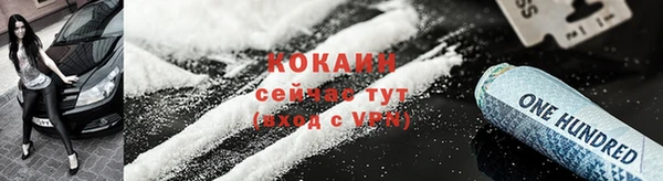 шишки Новодвинск