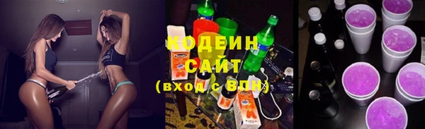 шишки Новодвинск
