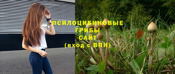ешки Нягань