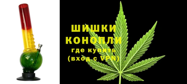 шишки Новодвинск