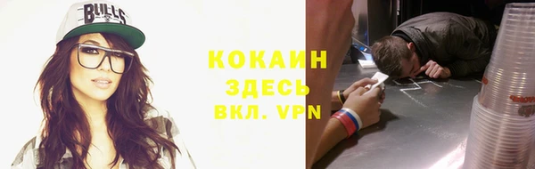 шишки Новокубанск