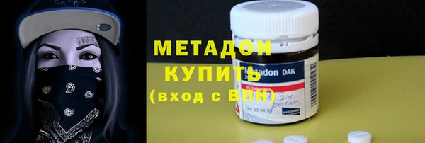 шишки Новодвинск