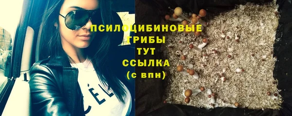 твердый Няндома