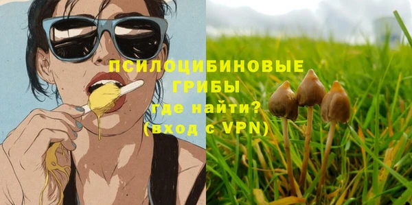 твердый Няндома