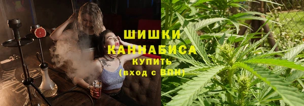 шишки Новодвинск