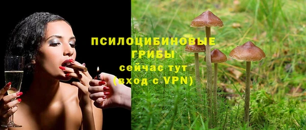 ешки Нягань