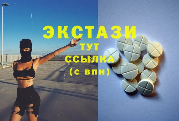 шишки Новодвинск