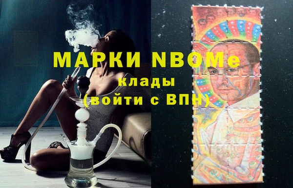 шишки Новокубанск