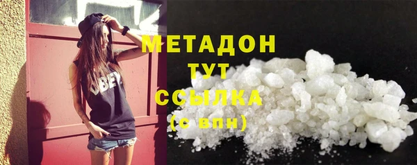 шишки Новодвинск