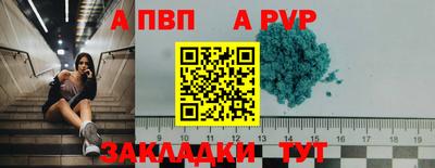 прущие крисы Бийск