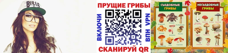 МЕГА рабочий сайт  Богданович  Псилоцибиновые грибы GOLDEN TEACHER  купить закладку 