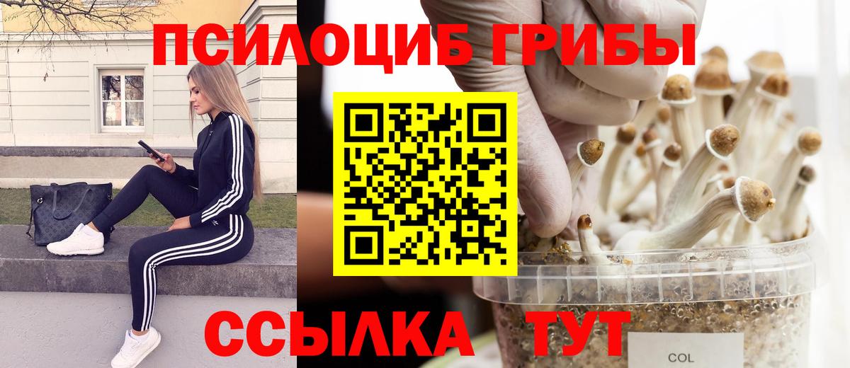 Псилоцибиновые грибы Magic Shrooms Богданович