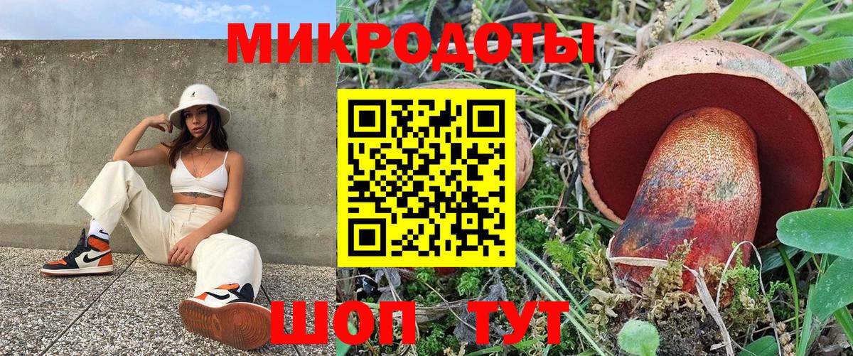 Псилоцибиновые грибы MAGIC MUSHROOMS  Богданович 