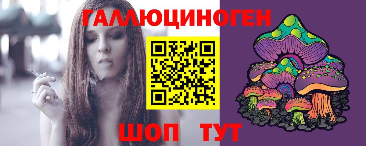 Галлюциногенные грибы Psilocybine cubensis  Вход с VPN  Галлюциногенные грибы GOLDEN TEACHER  Богданович 