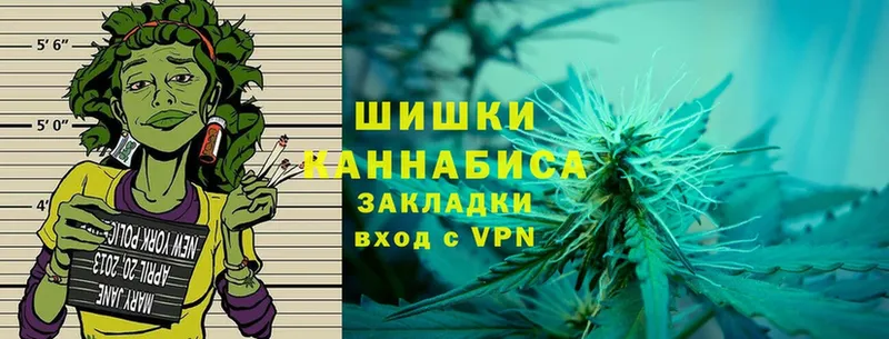 Канабис SATIVA & INDICA  Богданович 